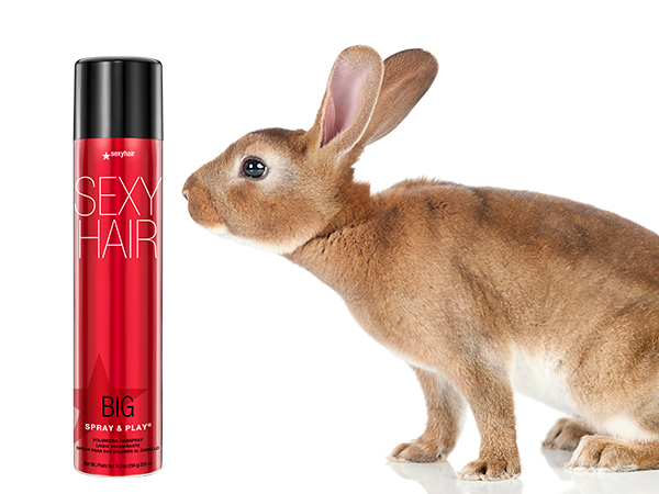 großes Haarspray und Kaninchen