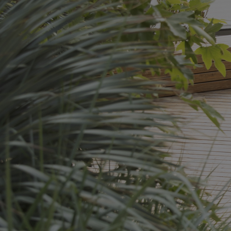 category conquering recovery a picture of greenary