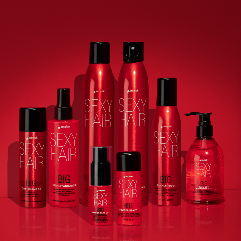 a group picture of big sexyhair products