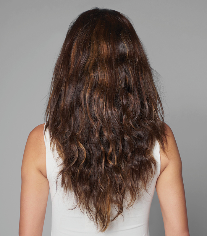 female brunette model hair before image